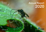 icipe Annual Report 2020 by International Centre of Insect Physiology and Ecology (icipe)