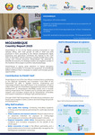 Rsif Mozambique Country Report 2023 - English
