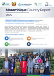 Rsif Mozambique Country Report 2025 - English by Regional Scholarship and Innovation Fund (Rsif)