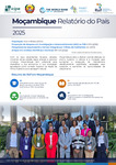 Rsif Mozambique Country Report 2025 - Portuguese by Regional Scholarship and Innovation Fund (Rsif)